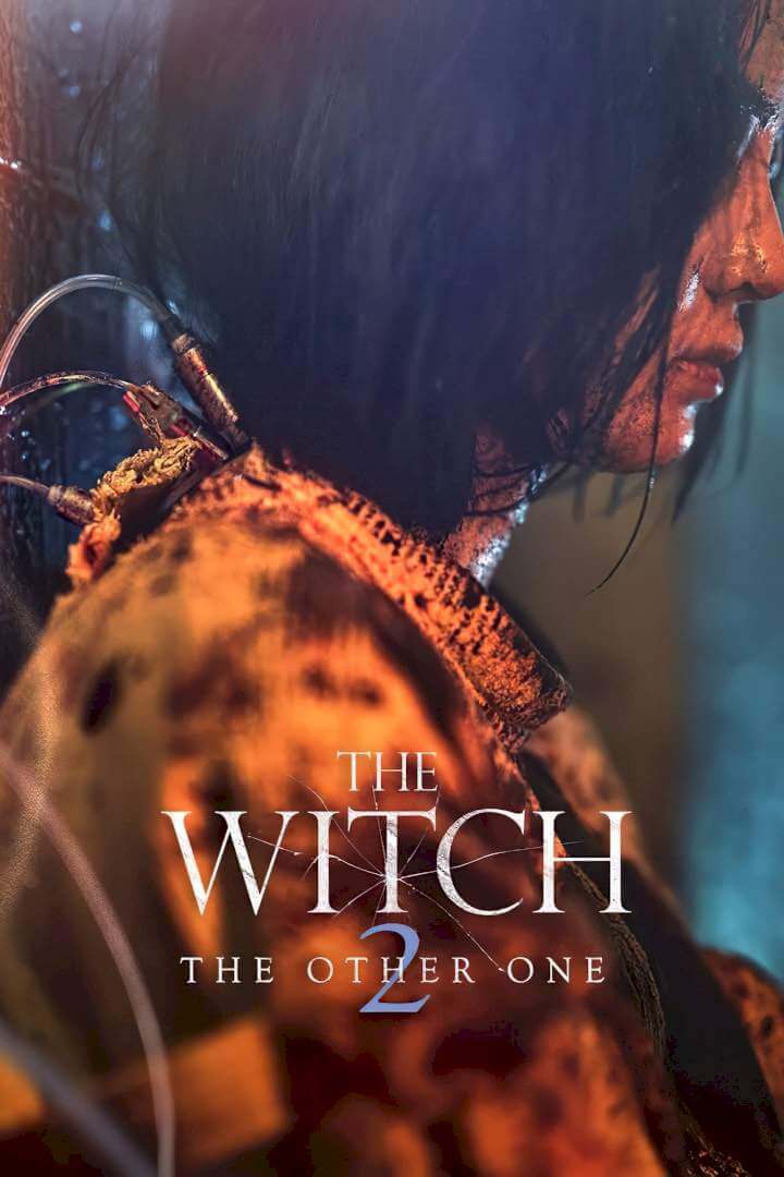 The Witch: Part 2. The Other One Poster